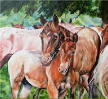 Appaloosa horse painting mare and colt