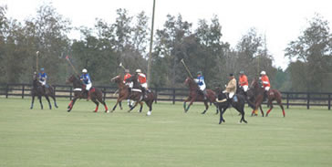 aiken polo photo