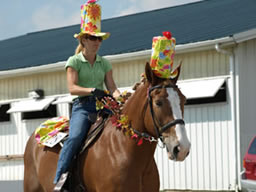 what a hat in all horse parade