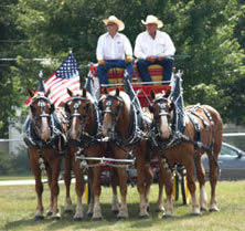 four horse team