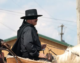 zorro in all horse parade