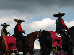 three amigos in all horse parade