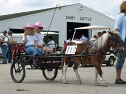 girls in cart at all horse parade