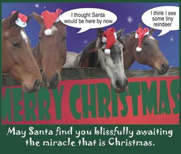 horse Christmas card