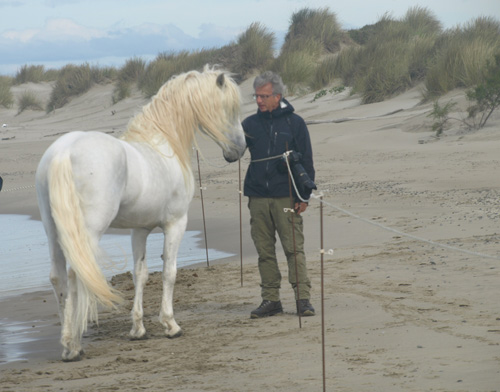 Camargue Serge Create Away