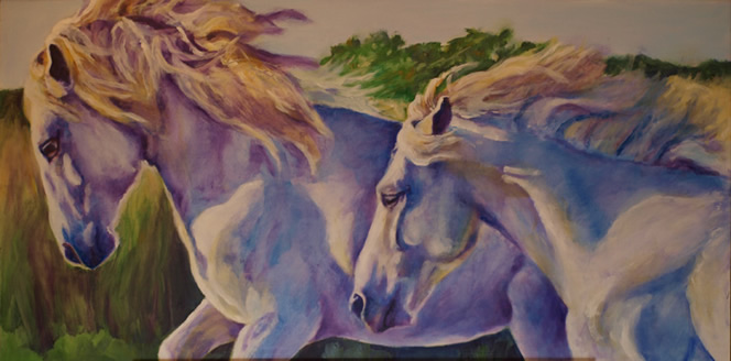 Camargue - Two Stallions Up Close - 48x24 - oil painting by Karen Brenner