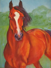 Arabian Horse Painting