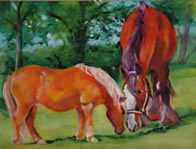 clydesdale