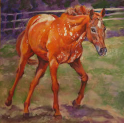 Appaloosa - Fawn - Oil Painting