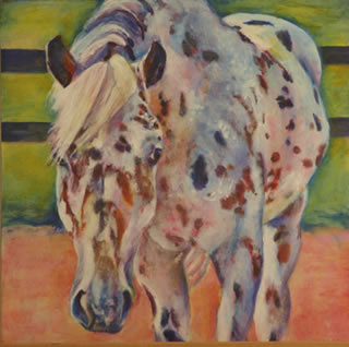 Colorado Rangerbred Appaloosa Duncan's Phantom's painting