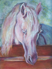 Andalusian horse painting white horse