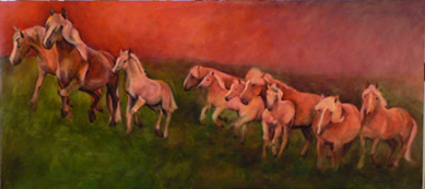 Haflinger Herd