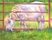 Miniature horse painting