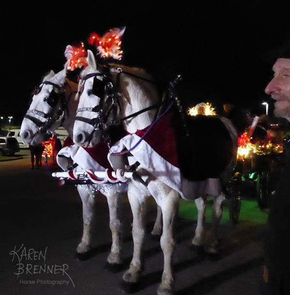 Lebanon Carriage Horse Parade 2016