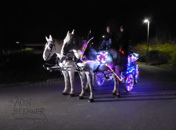 Murphy and Hot Rod and carriage ready for the Lebanon Horse Parade 2016