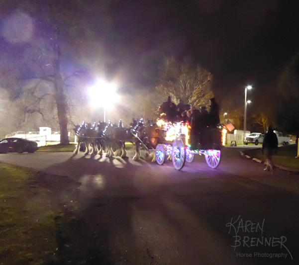 Lebanon Ohio Holiday Parade 2016 - Karen Brenner Horse Photography