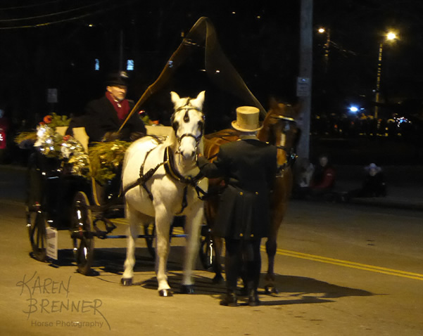 Carriage Parade - Lebanon - 2016 - Karen Brenner Horse Photography