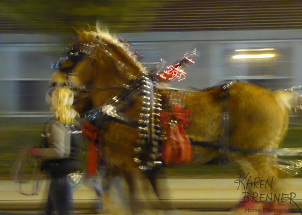 Lebaon Holiday Carriage Parade - 2016 - Karen Brenner Horse Photography