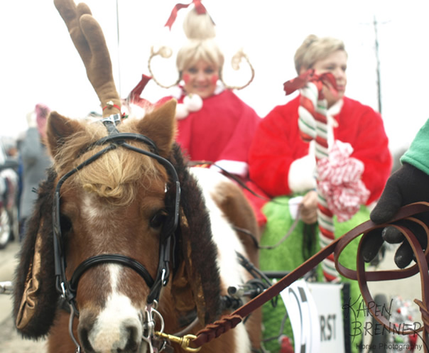 Carriage Parade 2016 - Lebanon Ohio - Karen Brenner Horse Photography