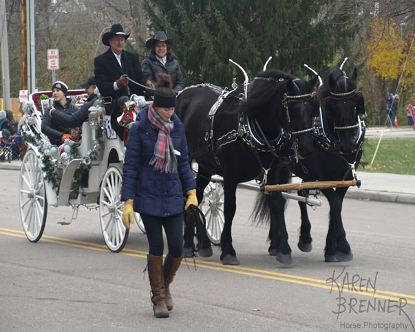 Horse Photography by Karen Brenner - 2016 Lebanon Horse Carriage Parade