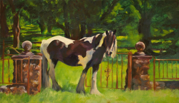 Bellbottom Levi, Gypsy  Vanner, oil painting by Karen Brenner