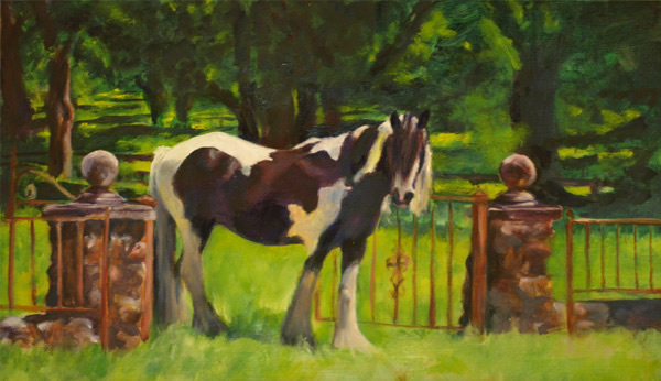 Bellbottom Levi - Gypsy Vanner - oil painting by Karen Brenner