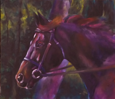 Olivier - Dutch Warmblood Stallion - oil painting by Karen Brenner