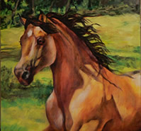 Bucky - Morgan Stallion Painting