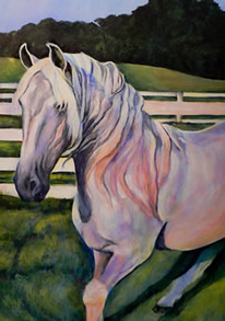 Lusitano stallion Horse Paintings by Karen Brenner